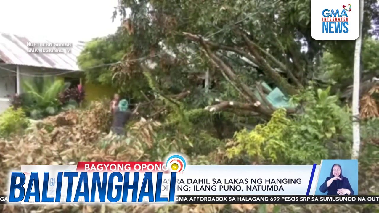 Mahigit 20 bahay, nasira dahil sa lakas ng hanging dala ng bagyong #OpongPH; ilang puno, natumba | Balitanghali
