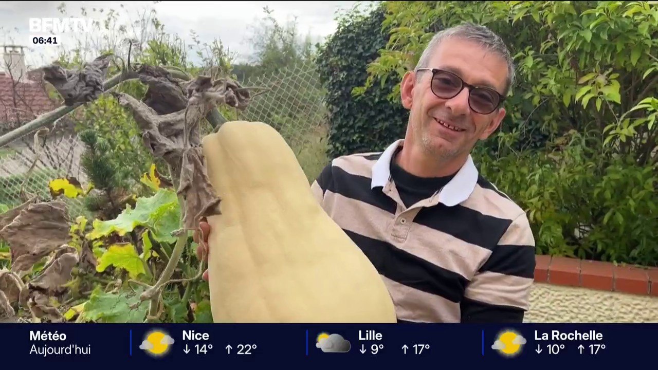 "Elle fait environ dans les 400kg": Jérôme cultive des courges géantes en vue du concours national des fruits et légumes géants qui aura lieu en Vendée