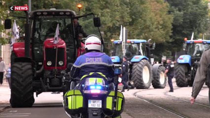 Colère des agriculteurs à Dijon : ce qu'il faut retenir de la mobilisation