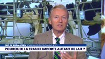 La chronique éco : Pourquoi la France importe autant de lait ?