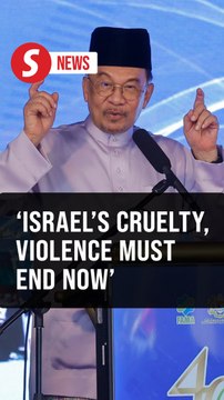 Anwar backs GSF to press on with Gaza aid mission