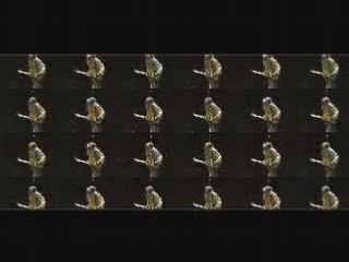 tommy foster live in valencienne auditorium