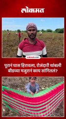 शेतकरी हवालदील, मजुरांचेही हाल, बीडमध्ये महापुरानंतर काय स्थिती