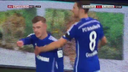 Schalke 04 1-3 Bayern Munich - Goals and Highlights (22/11/2015)
