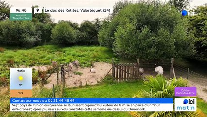 26/09/2025 - ici matin parici Normandie (Calvados - Orne) en vidéo