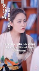 The Secretary's Secret Chinese Drama - English Sub