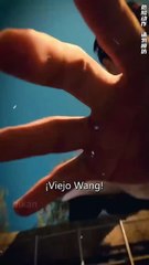 ¡Despedido de la empresa, reencarné en el cuerpo del jefe, esta vez recuperaré todo lo que es mío!