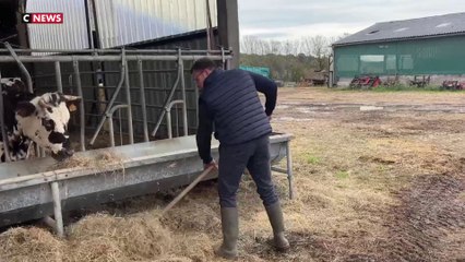 Traité UE-Mercosur : le monde agricole en colère