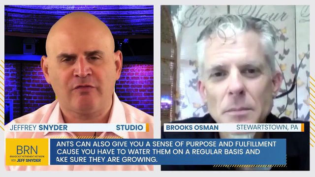 How Owning Plants Can Improve Mental Health