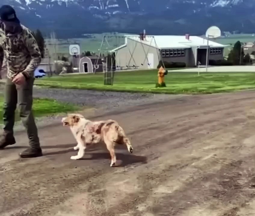 When the forward button doesn’t work…😂