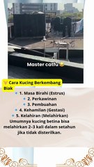 🐱 Cara Kucing Berkembang Biak