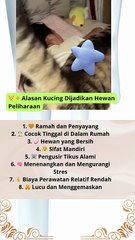 🐱✨ Alasan Kucing Dijadikan Hewan Peliharaan