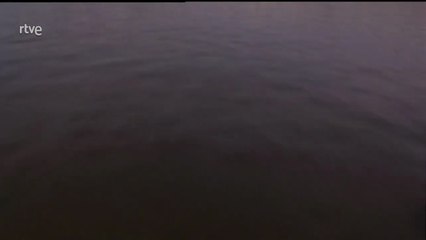 Sierras De Cádiz: Descubre Este Paraíso Oculto en Andalucía