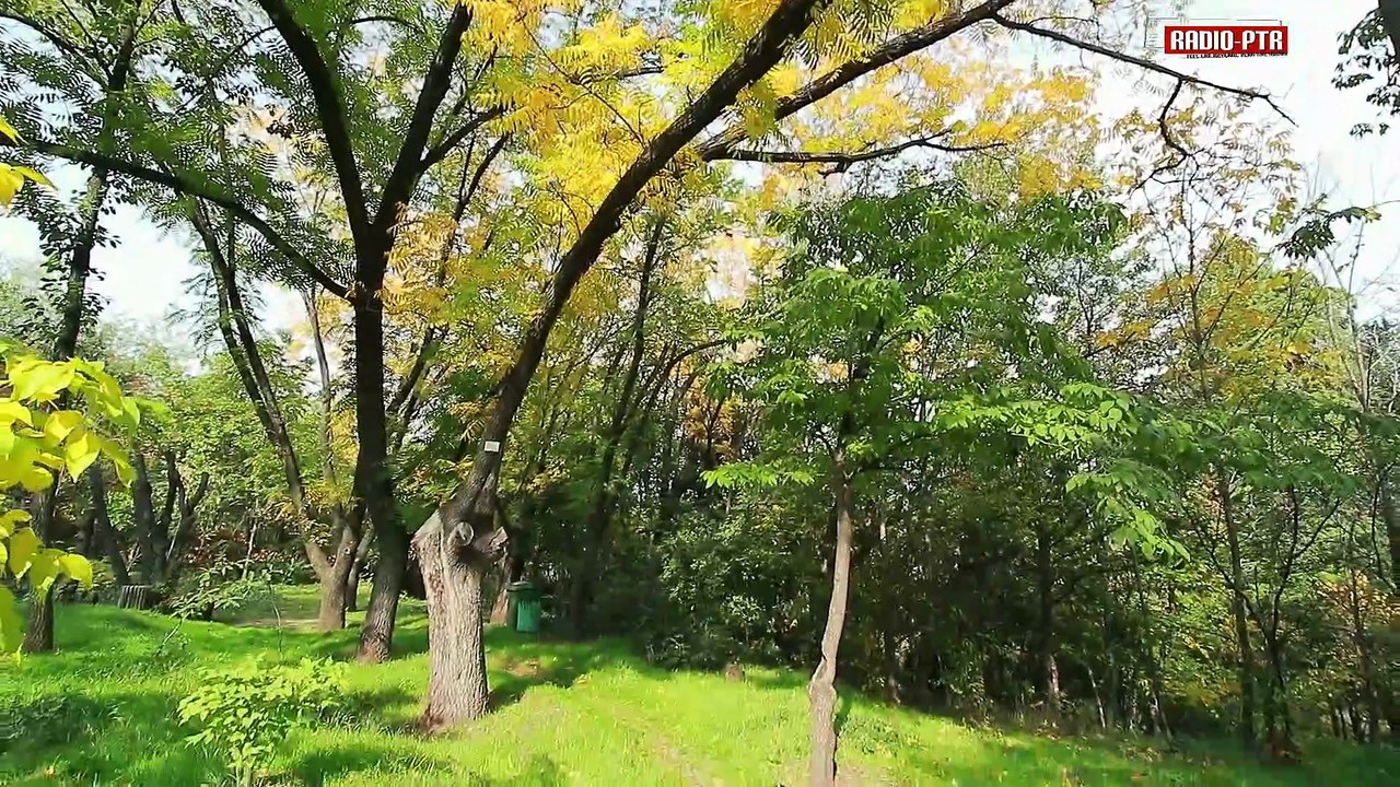 Conny Winter & Marcus - küss den Knutschfleck (Discosound)