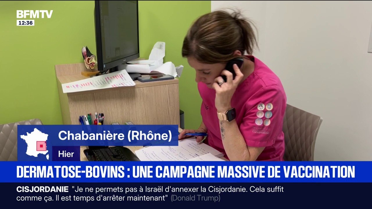 Dermatose-bovins: une campagne massive de vaccination en cours