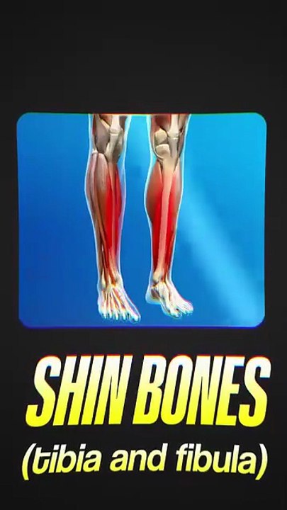 Robotic Surgeon in Chennai