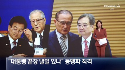 “대통령 끝장낼 일 있나” 정세현, 동맹파 직격