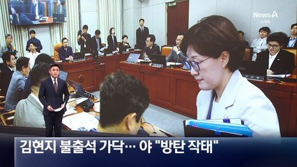 ‘성남라인’ 김현지 불출석 가닥…野 “방탄 작태”