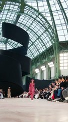 عقدة الفراشة: حين تلتقي أناقة شانيل بالسريالية