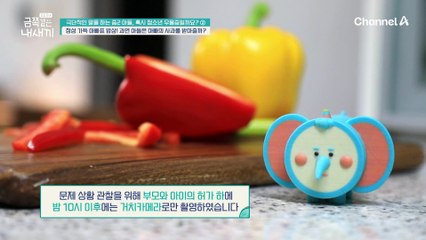 극단적인 말을 하는 중2 아들 두 번째 이야기! 과연 금쪽이는 아빠의 사과를 받아줄까?!