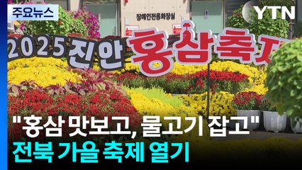 "홍삼 맛보고, 물고기 잡고"...전북 가을 축제 열기 / YTN