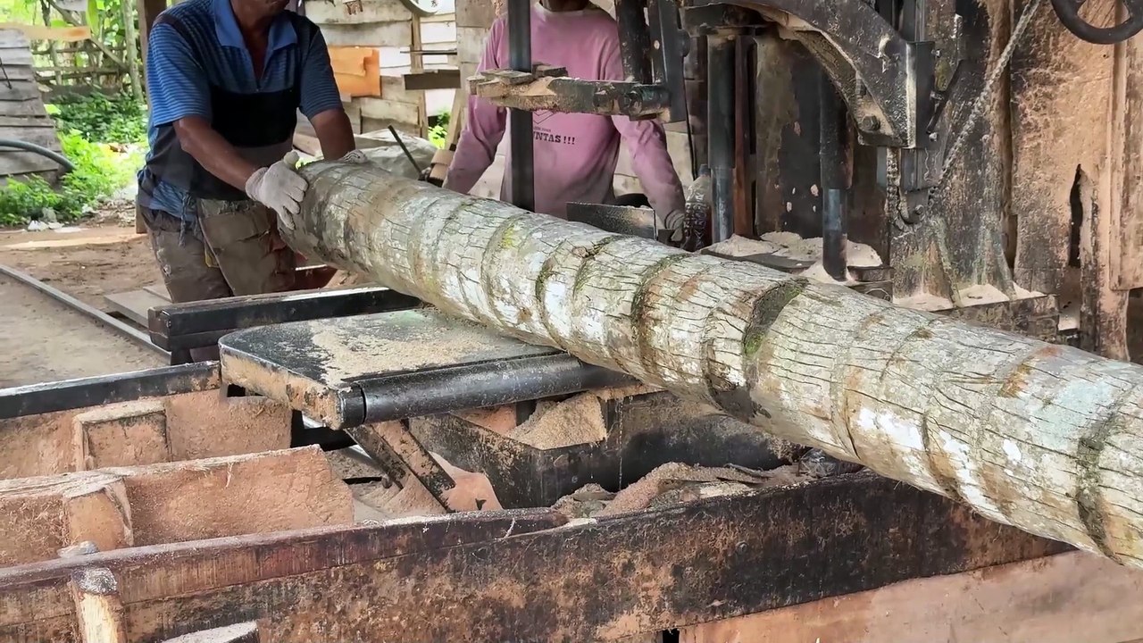 Mass Production Strategy of 5x7 Coconut Wood with Sawmill Machine