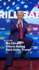 Are Climate Efforts Rolling Back Under Trump?