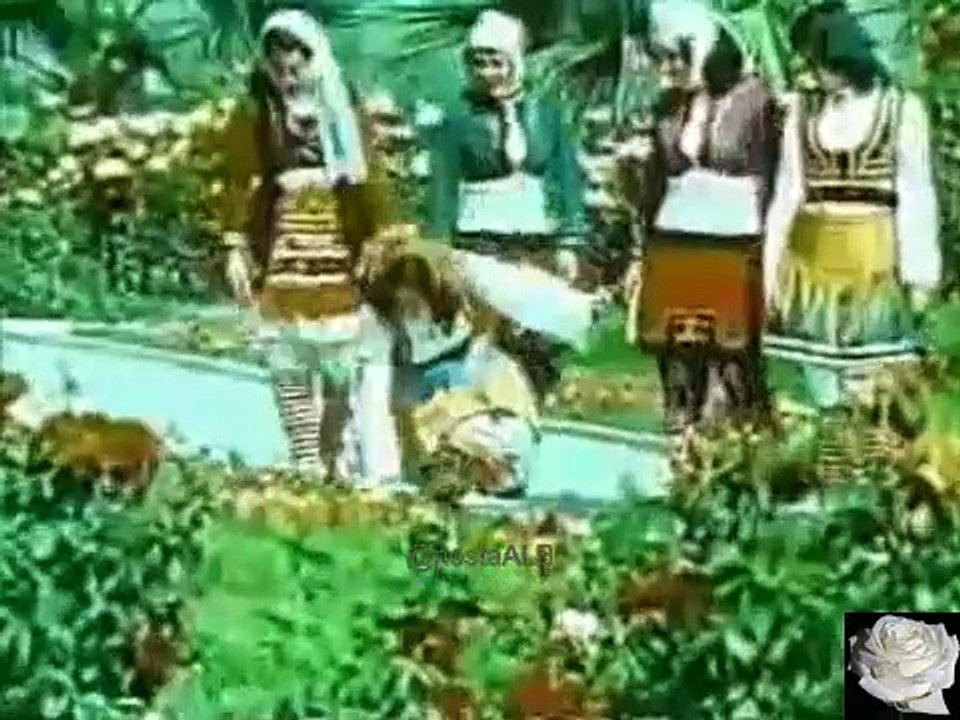 Lulet dekorative (1975)