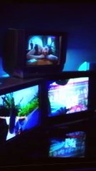 أنغام تشعل الصيف بألبوم «تيجي نسيب»