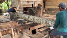 The Process of Cutting Coconut Trees 5x5 Using a Sawmill