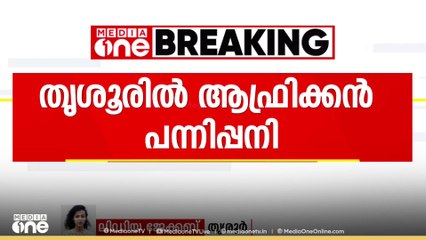 തൃശ്ശൂർ മുളങ്കുന്നത്ത്കാവിൽ ആഫ്രിക്കൻ പന്നിപ്പനി; നടപടികൾ ആരംഭിച്ച് പഞ്ചായത്ത്