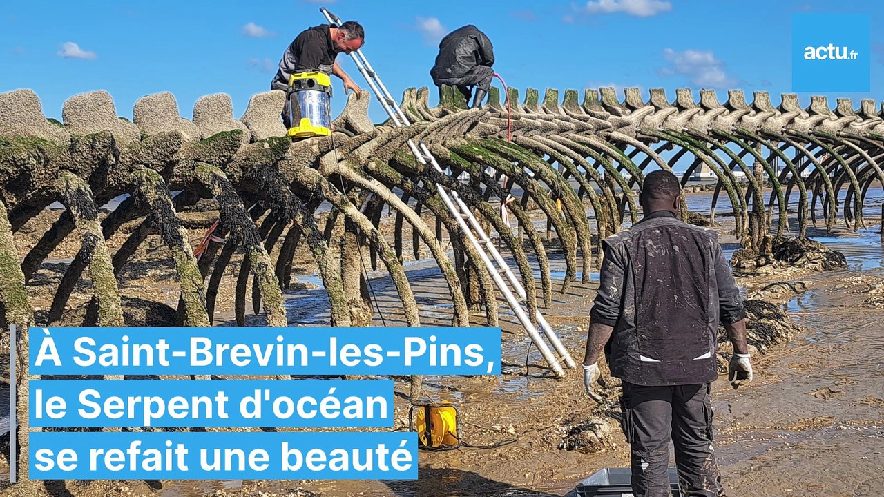 travaux-maintenance-serpent-docean-saint-brevin-les-pins-copy