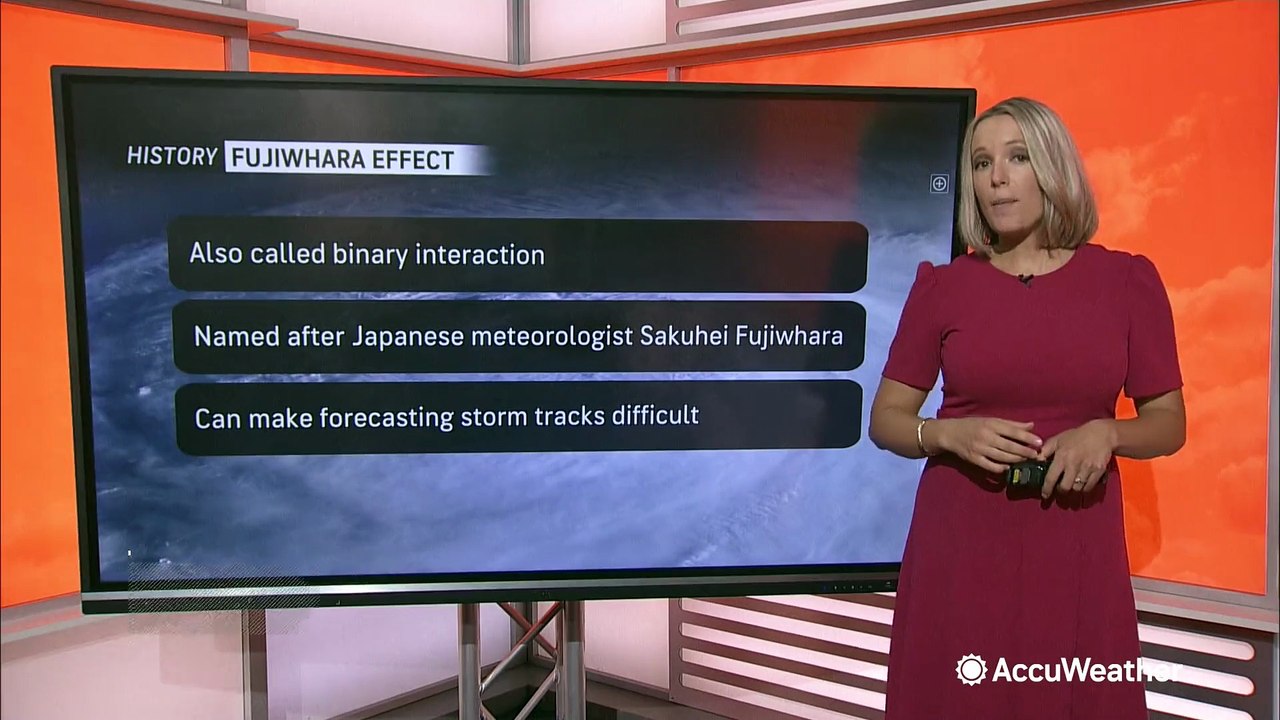The Fujiwhara Effect