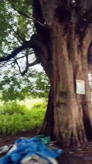 Travel | nature | shorts | reels video |