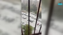 September Snowfall Blankets Milan in White Vid