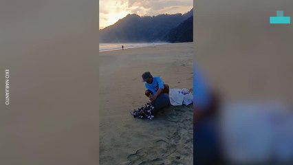 Man Rescues and Releases Over 85k Turtles Into the Great Ocean