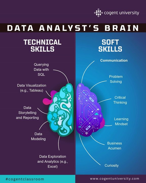 The Analyst Brain