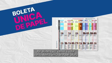 Elecciones Nacionales 2025 - Boleta Única de Papel