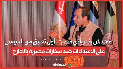 محدش يقدر يأذي مصر.. أول تعليق من السيسي على الاعتداءات ضد سفارات مصرية بالخارج