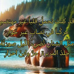يا عين جودي بدمع منك مغزار  ،   الخنساء