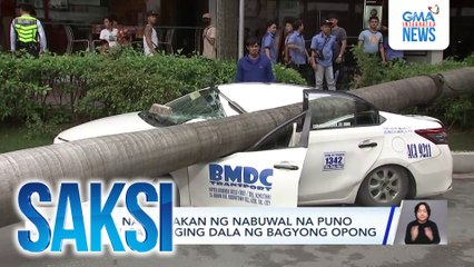 Taxi, nabagsakan ng nabuwal na puno dahil sa hanging dala ng Bagyong Opong | Saksi