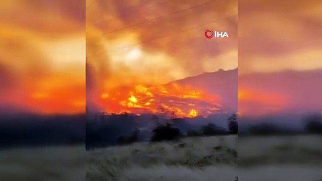 Bursa’da orman yangını...Rüzgarın etkisiyle büyüdü