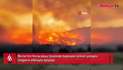 Bursa'da orman yangını...Rüzgarın etkisiyle büyüdü