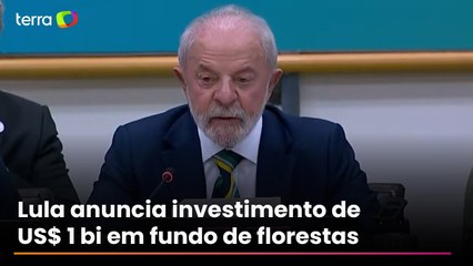 Lula anuncia investimento de US$ 1 bi em fundo de florestas