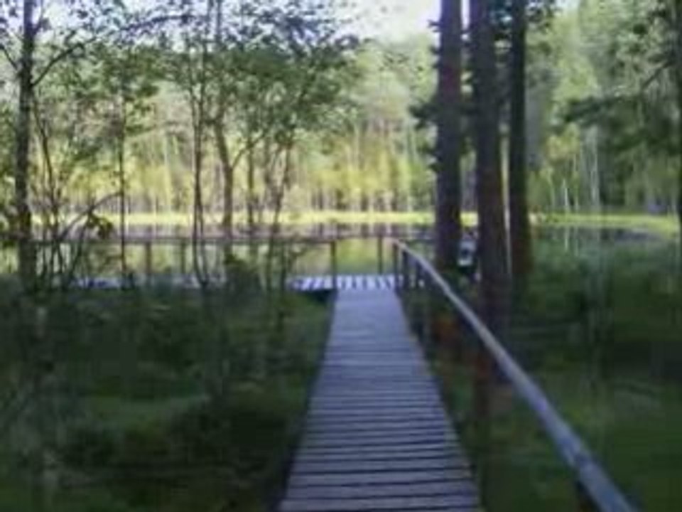 Mazury, KRUTYN, Zielony Lasek, Rezerwat Zakret FS4, Masuren