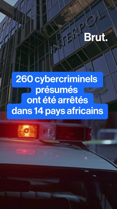 260 cybercriminels arrêtés à travers 14 pays africains.