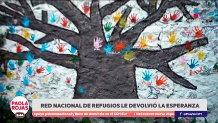 Mujeres que encuentran esperanza en redes de refugios | DPC con Paola Rojas