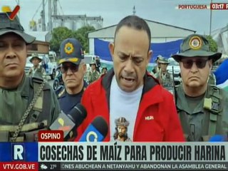 Portuguesa supera las 100 mil hectáreas de maíz sembradas y cosechadas