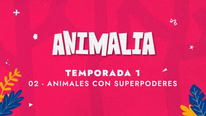 02 ANIMALES CON SUPERPODERES