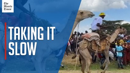 People from far and wide take part in Kenya's international camel derby